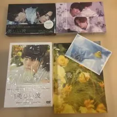 Item thumbnail for item b3fbaa79-6ddb-4b7a-9504-cebd012feb16