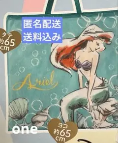 ゼクシィ雑誌　4月号付録　アリエル　超BIG 洗濯ネット