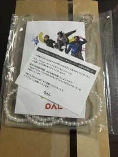 パルクロ すっきゃねんず　マルチケース