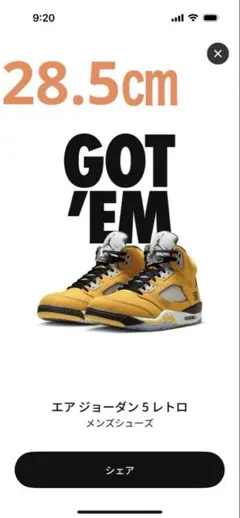 Nike Air Jordan 5 Retro 