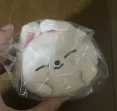 straykids フォクシニー　バックチャーム　未開封