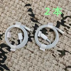 iPhone ipadライトニングタイプCケーブル 1m 高速充電器2本