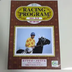 JRAレーシングプログラム2004年NHKマイルCカブラヤオーキングカメハメハ