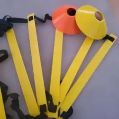 Item thumbnail for item 56609c76-f9d4-4669-ab26-3ce149336b6b