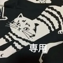 専用