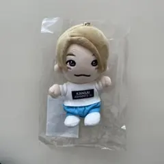 【値下げ】Aぇ!group 正門良規 ちびぬい　関ジュ