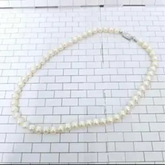 Item thumbnail for item 333e5394-cc58-4355-8da0-f73442ceb855