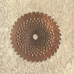 ジャンクガーデン ガーデニング