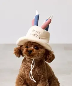 Item thumbnail for item 4a0e5702-e28e-413f-887c-911307180676