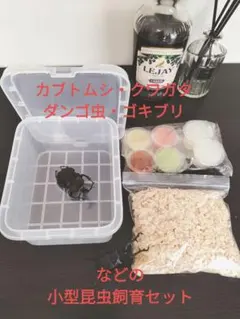 Item thumbnail for item 19264258-cec5-4074-b422-038d13d701c5