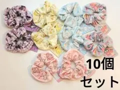 サンリオキャラクターズ シュシュVer.10 10個セット 新品未使用 タグ付き