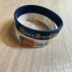 Saucy Dog ラバーバンド 2つ