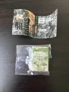 週刊少年ジャンプ ジャンプコミックスコレクション　Dr.STONE