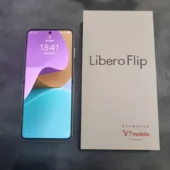 Item thumbnail for item 3338129f-bc09-4e88-a301-f1b88083c98b