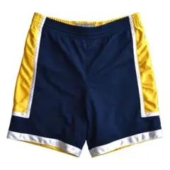 ナイキ 刺繍 バスケットパンツ