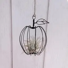 Item thumbnail for item 10c2fc55-0ef2-447e-8152-9d0bf26e4e15