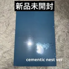 新品未開封　ald1 少年BEAST Cementic Nest トレカ　CD