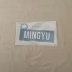 SEVENTEEN セブチ Ode to you ネームワッペン ミンギュ