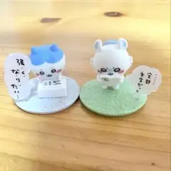 ハチワレ　モモンガ　チョコサプ