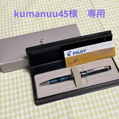☆廃番品☆PILOT CUSTOM NS ネイビー EF - メルカリ