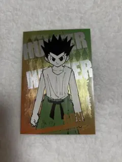 HUNTER×HUNTER ポストカードコレクション　ゴン