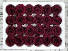 プリザーブドフラワー 花径2-2.5cm 24輪　 バラ ワインレッド