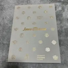 ジャニアイ　パンフレット