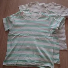 Tシャツ 3枚セット 100cm