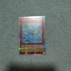 遊戯王　マルチャミー・プルリア　プリズマティックシークレット　プリシク