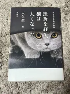 Lee様 リクエスト 2点 まとめ商品