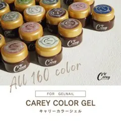 カラージェル 10個セット ジェルネイル ネイル ネイルカラー