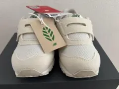 Item thumbnail for item fede64c5-de92-4a86-8dae-919c01841c48