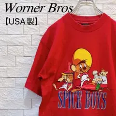 ヴィンテージ Warner Brothers ワーナーブラザーズ Tシャツ 古着