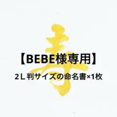 【BEBE様専用】命名書 2Ｌ判サイズ×1枚