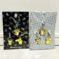 全国ずかんメタルチャーム ピチュー ピカチュウ ライチュウ 2種セット