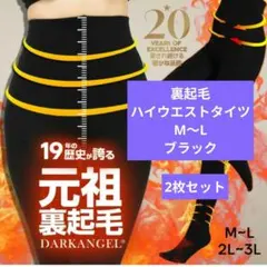Dark Angel　ダークエンジェル　裏起毛　ハイウエスト　タイツ　2枚