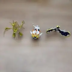 ポケモン 3体フィギュアセット ソルガレオ ウルトラネクロズマ　ルナアーラ