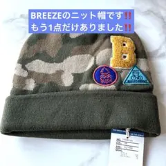 Item thumbnail for item 24563208-3356-413a-91cc-13c1c324edcd