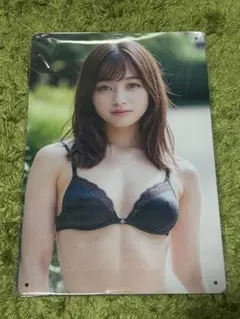 A4サイズ セクシー美少女　スチール　　メタルサイン