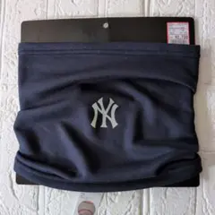 Item thumbnail for item 7526b337-d192-42a6-a711-980c97e4b6b8