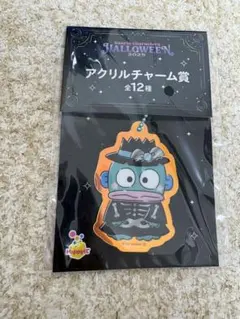 ハンギョドン　ハロウィンアクリルチャーム
