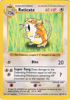 英語版　Raticate　ラッタ◆ シャドウレス　ウィザーズ社製