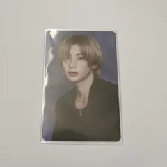 アントン　トレカ　シーグリ　2025