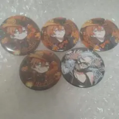 ぴーちゃん様専用