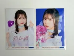 Item thumbnail for item 86a0185f-dfe8-41bf-ac74-c7d93f3b29f5