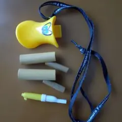 Item thumbnail for item dc657f15-d43b-42e4-9269-712daafcee98