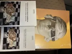 再降價⭐︎CHANEL 雜誌ARTS & CULTURE VOL.1 未開封