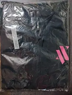 Item thumbnail for item 8e793f38-4ba1-4344-9730-4f17b74135ce