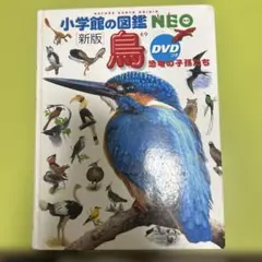 小学館の図鑑NEO 鳥 DVD付き - メルカリ