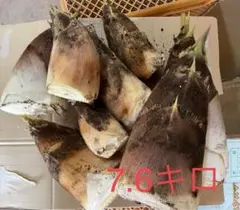 ④はなさま　専用　たけのこ